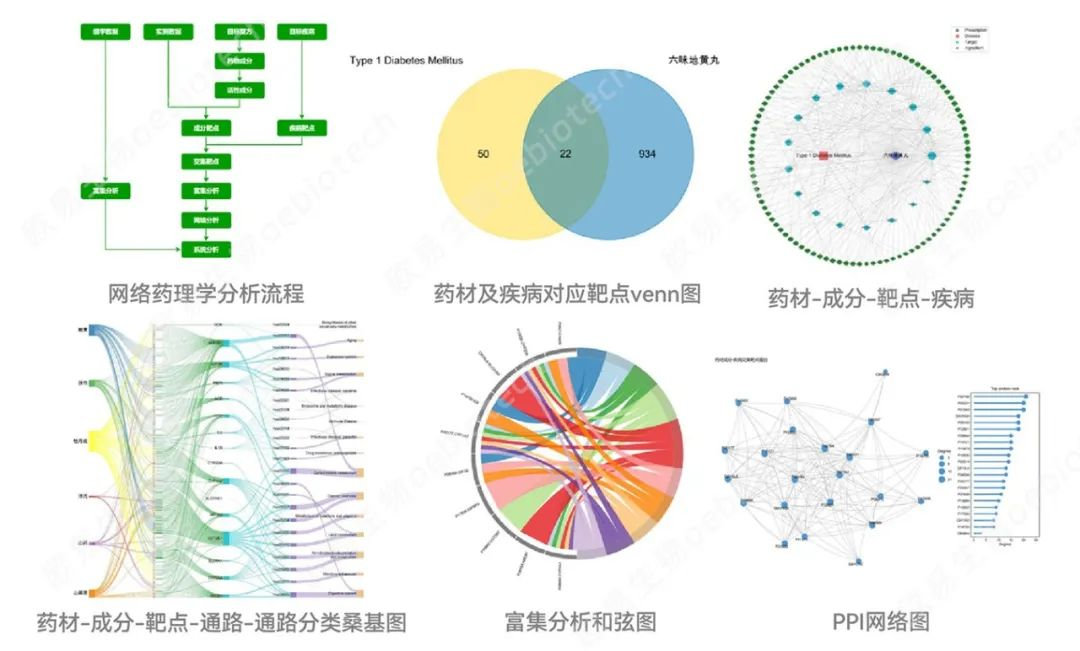 别发愁！看上中医团队多组学+网络药理+模型思路如何发文1区TOP期刊的~