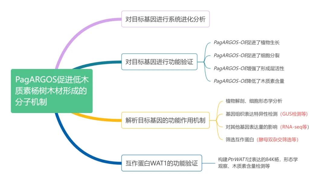 PBJ | 北京林大李晓娟团队最新成果!酵母双杂交发现大树长高的秘密 PBJ | 北京林大李晓娟团队最新成果!酵母双杂交发现大树长高的秘密