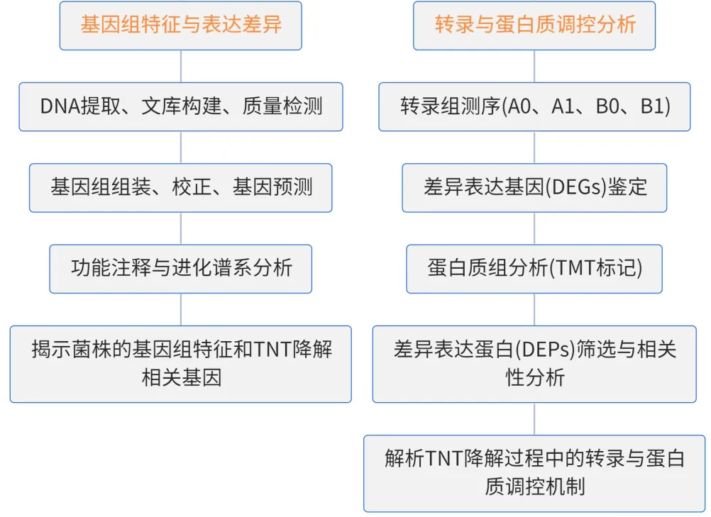 项目文章 | 环境科学与生态学一区,多组学揭示微生物降解TNT及中间产物降解与耐受分子机制研究~
