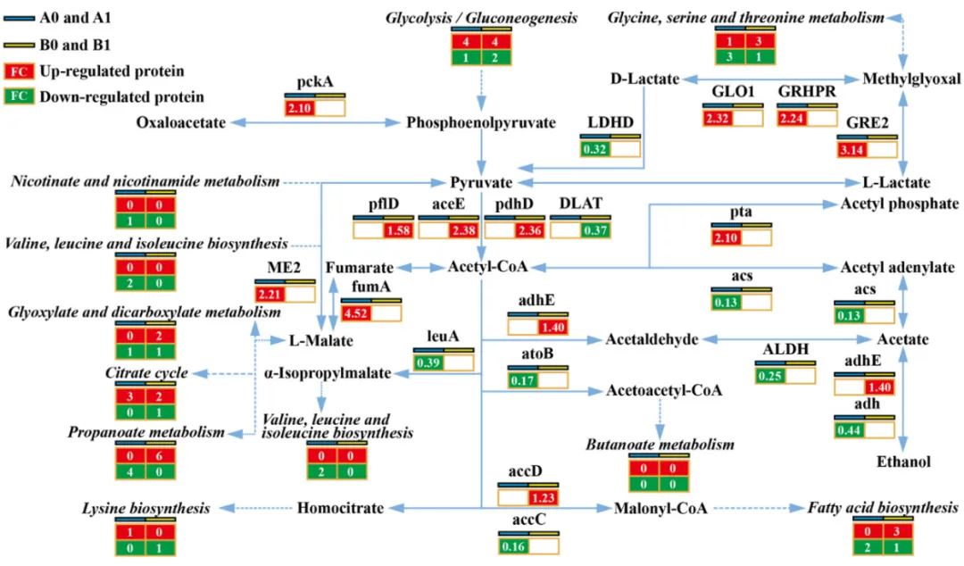 项目文章 | 环境科学与生态学一区,多组学揭示微生物降解TNT及中间产物降解与耐受分子机制研究~