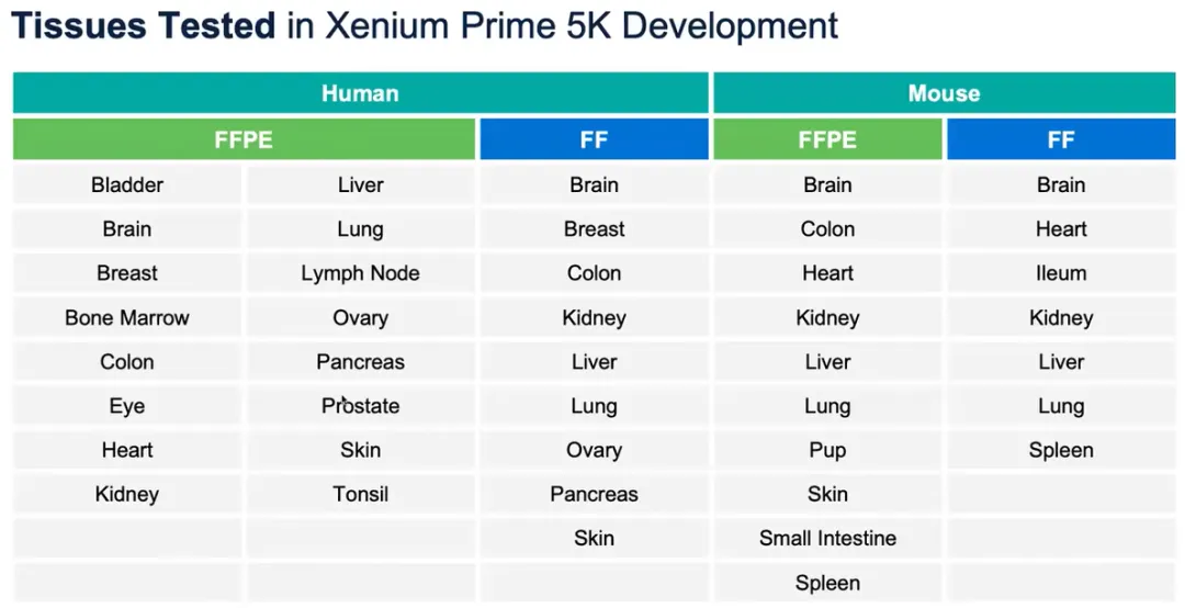 眼见为实：Xenium原位分析技术带你进入亚细胞空间研究新时代