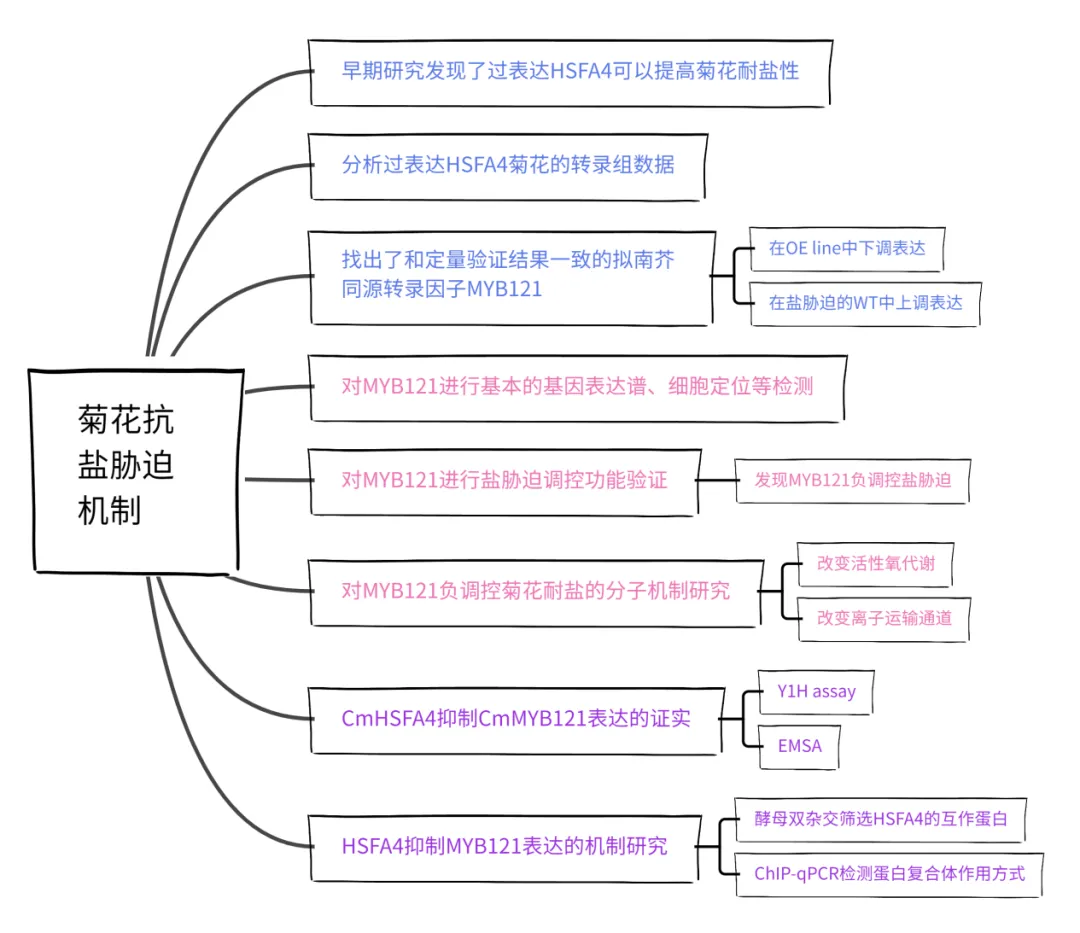 项目文章 | 中科院1区!南京农业大学研究团队发现菊花抗盐胁迫新机制! 项目文章 | 中科院1区!南京农业大学研究团队发现菊花抗盐胁迫新机制!