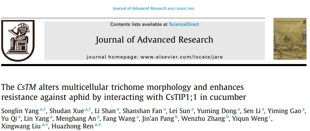 J Adv Res | 中国农业大学刘兴旺/任华中研究团队在中科院TOP期刊发表重要研究成果
