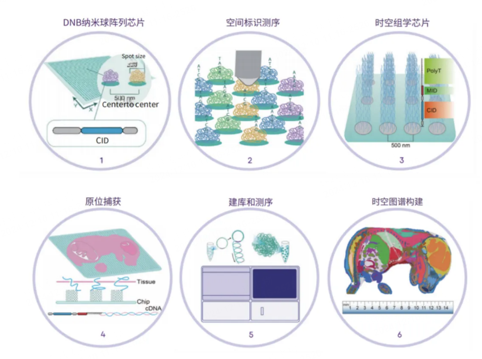 微信图片_20241210111721 微信图片_20241210111721