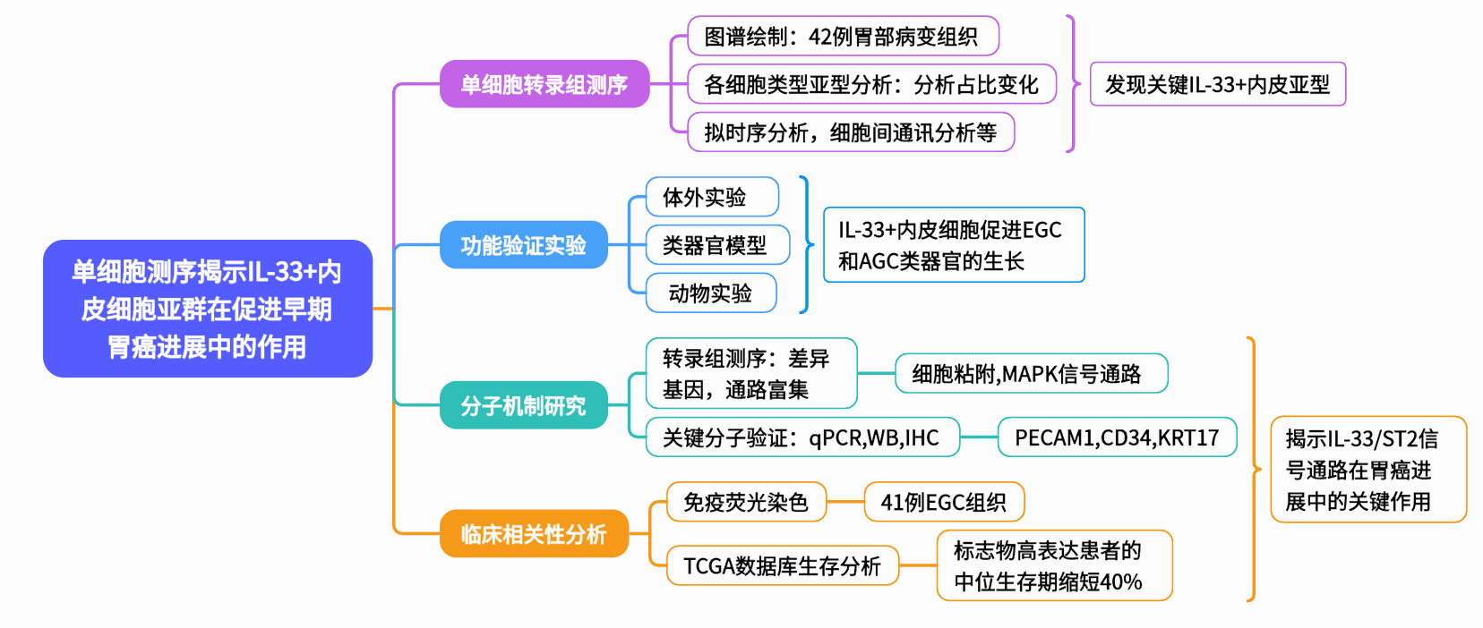 技术路线图.png
