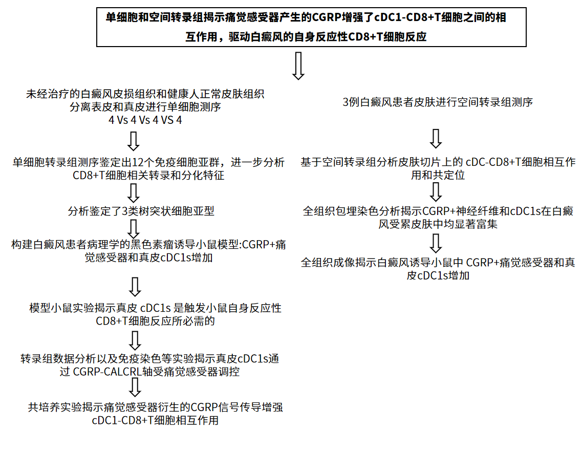 企业微信截图_17530845987653