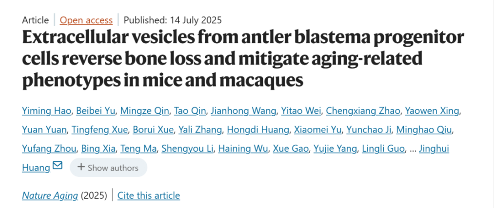 99445cf94941050c6148617eb7eb33de