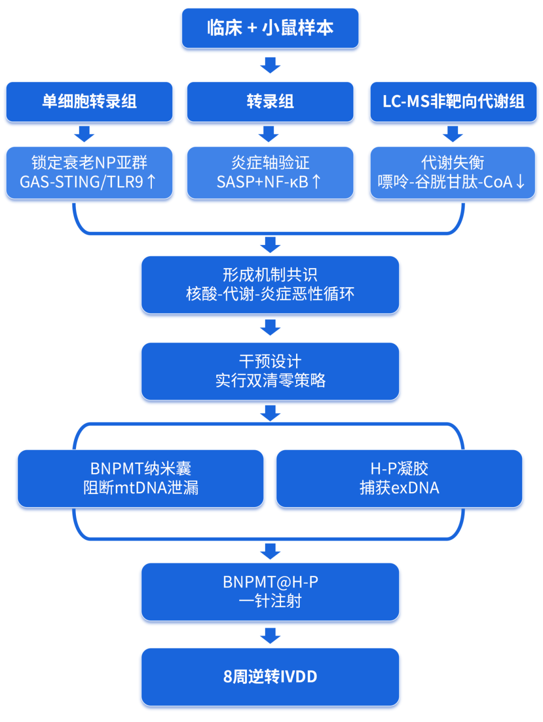 5052ce18d694b3c23bcb311e3f570ee9