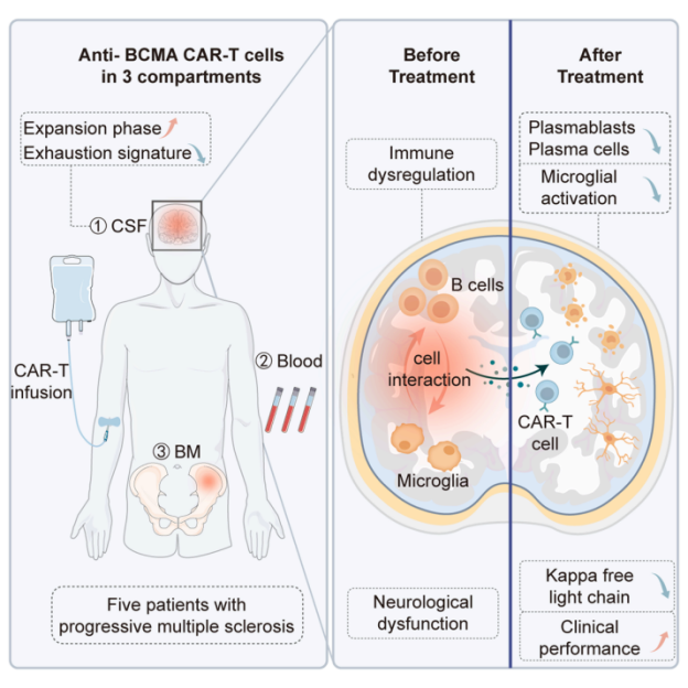 eaf54b640632030758d42fb85eebefe5 eaf54b640632030758d42fb85eebefe5