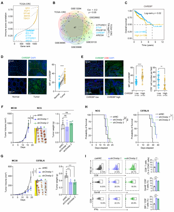 96c409b4a28267d763bf2421cb6fae3c 96c409b4a28267d763bf2421cb6fae3c
