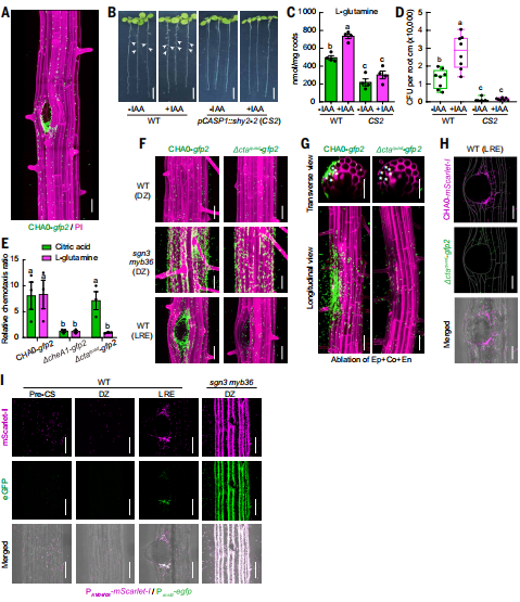 68f615f4c71815d5c8c1dd7c0f897c1c
