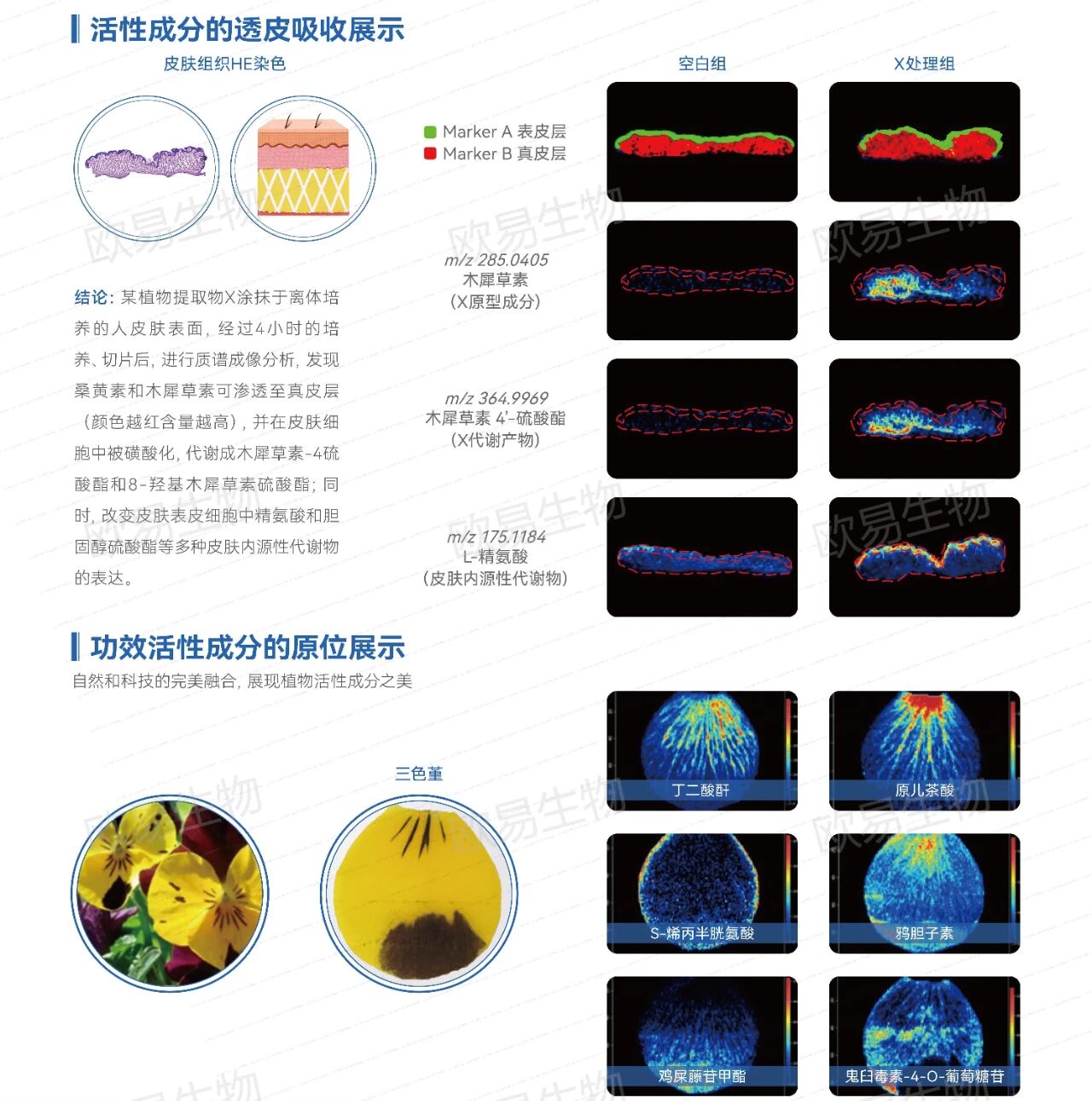 9d7b7a586405eeb0508e28a77a10cd46 9d7b7a586405eeb0508e28a77a10cd46