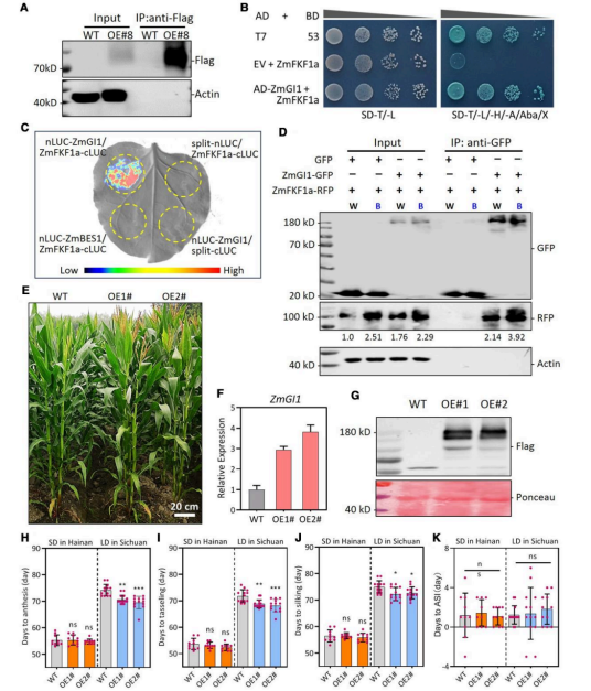 d60fb3966eed07b7644fa9a58eb5e43b