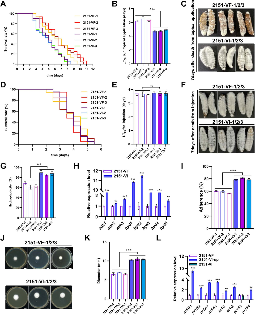 113653ead52d2cc1b35ea57c10ccb71e 113653ead52d2cc1b35ea57c10ccb71e