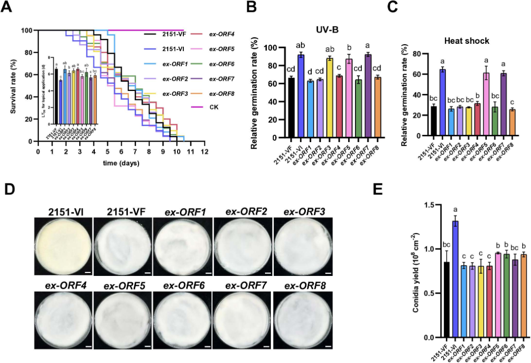 4fd9f0477b45d3168ee6a3ae248b1045 4fd9f0477b45d3168ee6a3ae248b1045