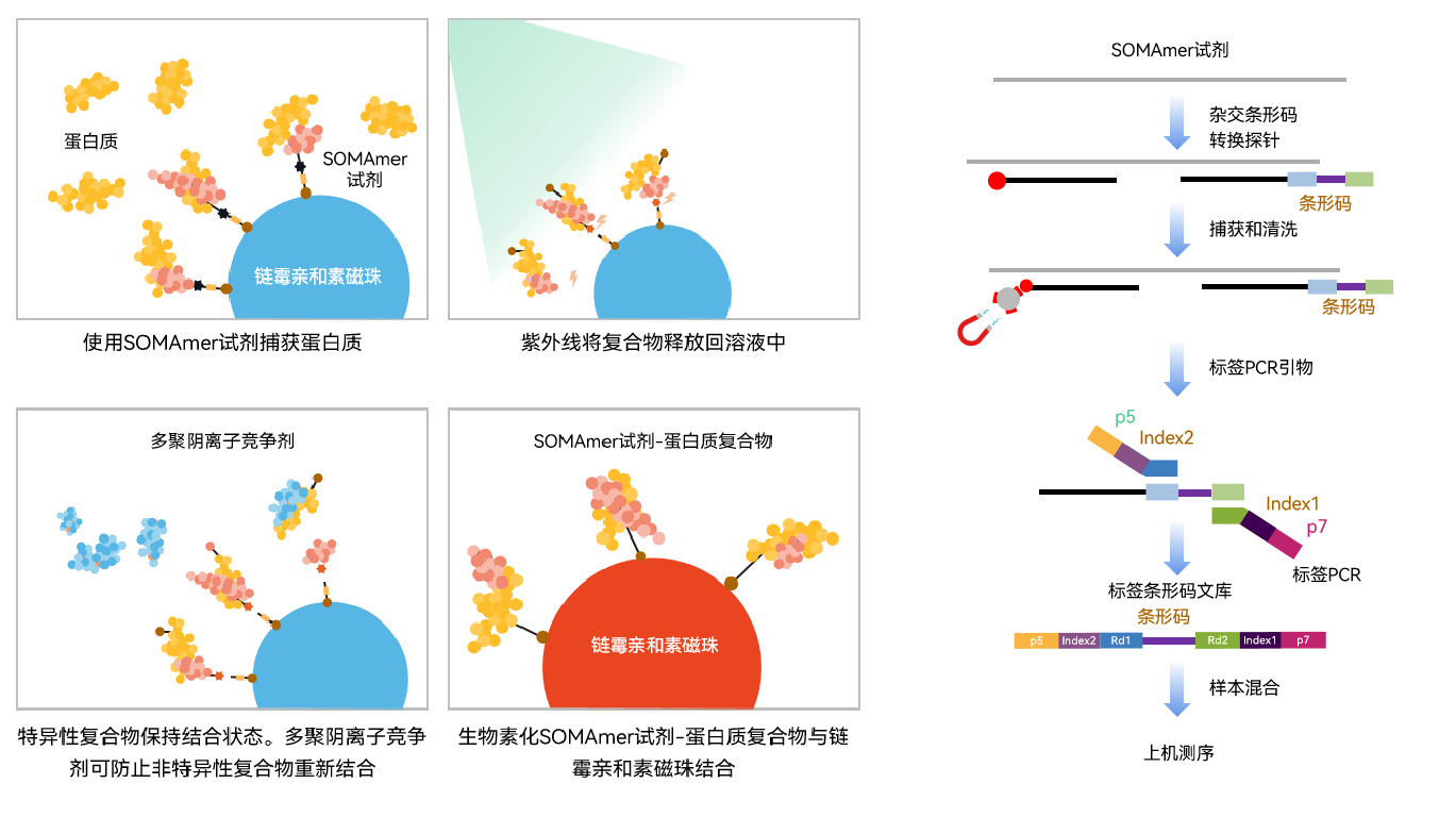 技术原理图 技术原理图