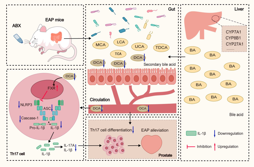 ecd63e818c8108e82cea77e458454260 ecd63e818c8108e82cea77e458454260