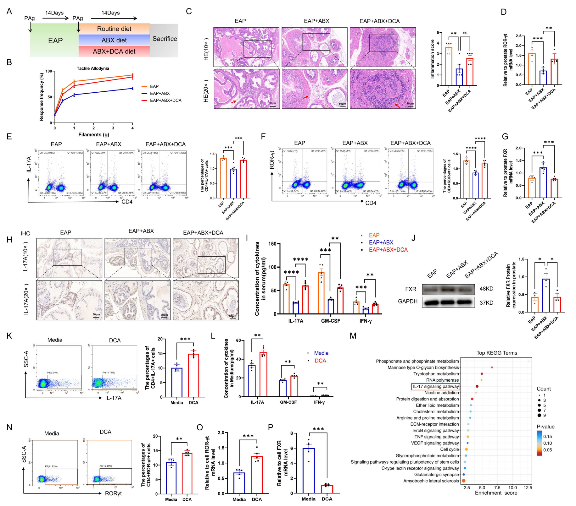 0e2d37c5e5deef5e4bc623f565fc4012 0e2d37c5e5deef5e4bc623f565fc4012