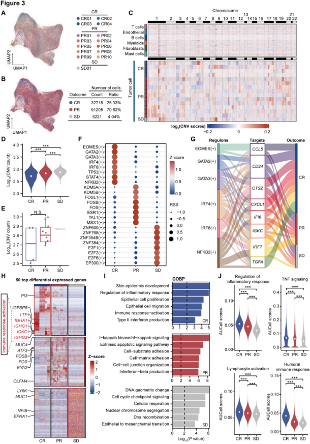 6caf15cc4a76e29a988c640f7683a202