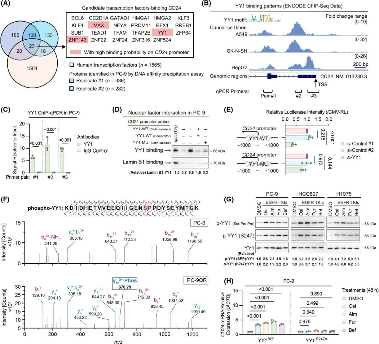 18e6ddc5c3221f22da9957a5aba6e9dc