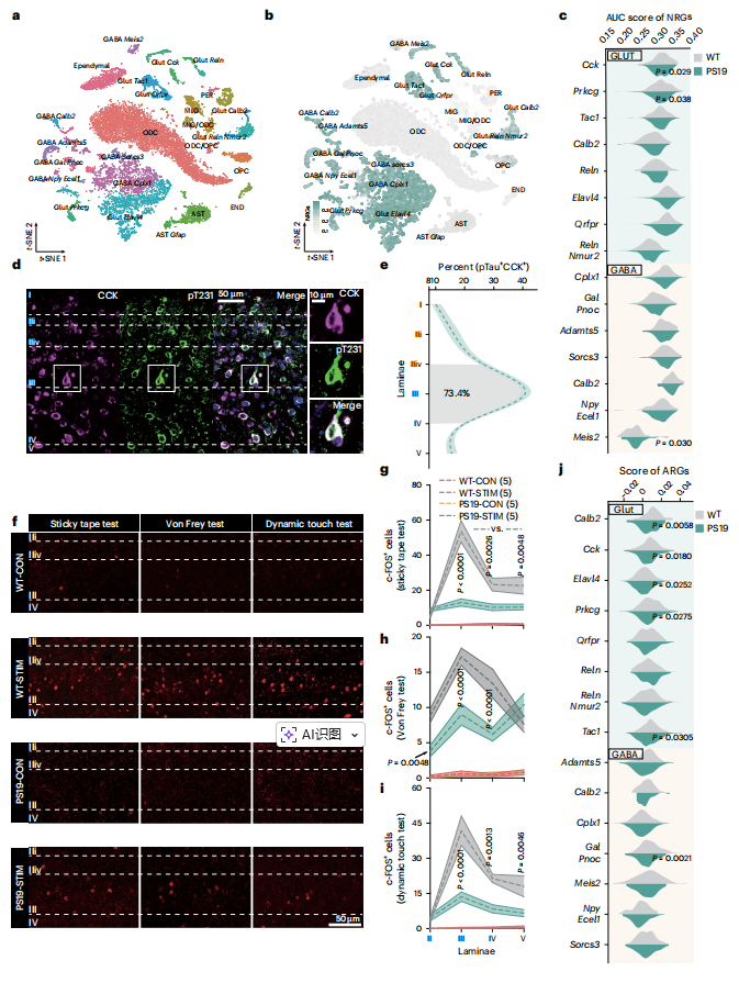 a7d8d34f48c38ab39322fd36a749e292