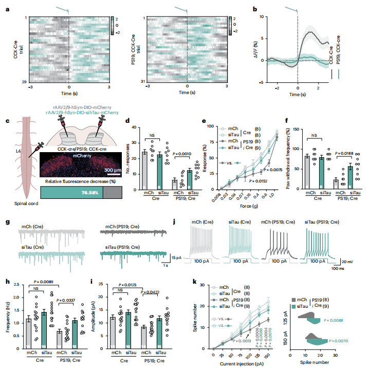 db1accc69f6117530fd671bb3061f5f5