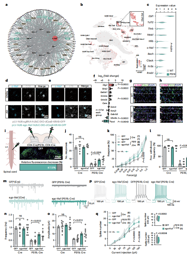 b96ade7b517591bb341a031c84cd805b
