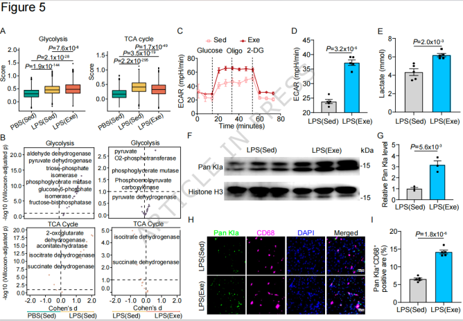 e6eaa72447ca1fb08aceb0556ea4a0f9