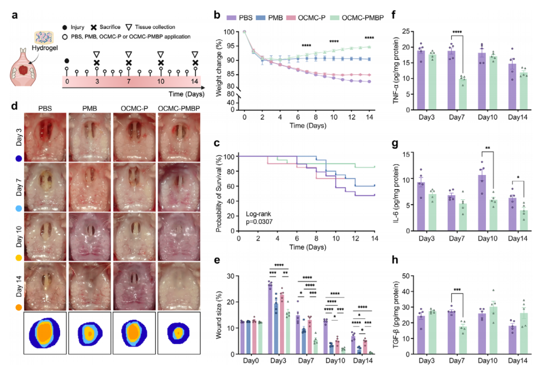 00d774ee2cce4f4a7dda15c87b75b09d