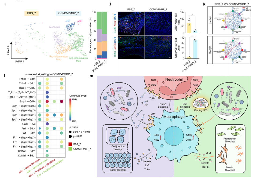 d3ad80df6838d031d5dcc32cc67faa60