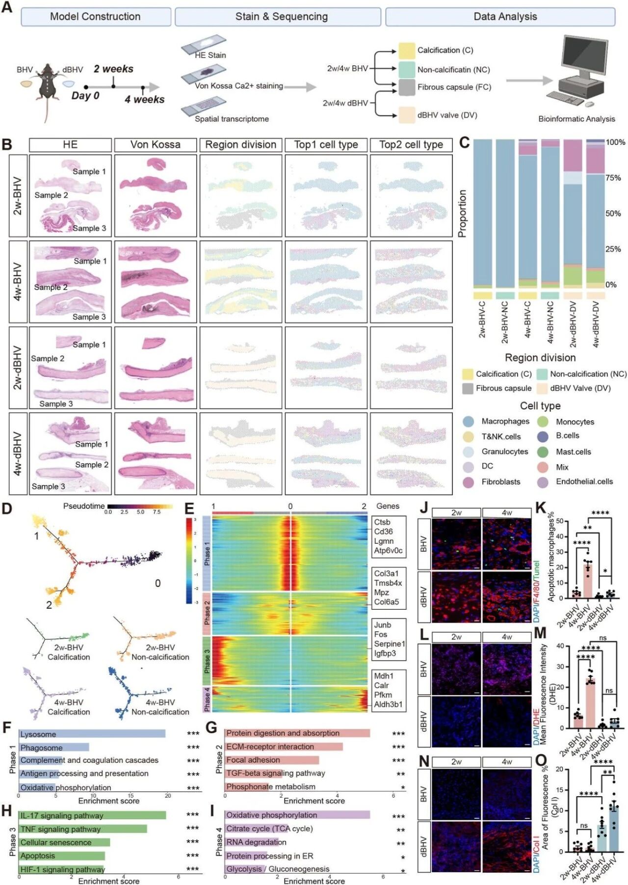 d97034d7f4b132da230b64cf373a1620