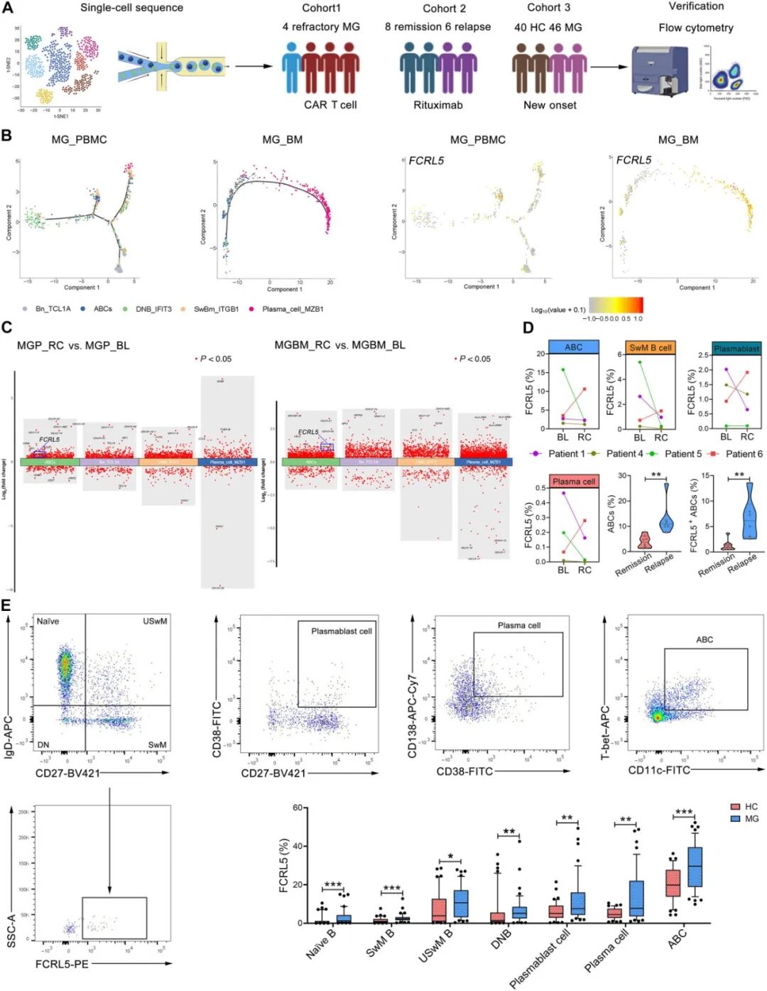 36c19c45649f47f9a754ecfadc743c7b