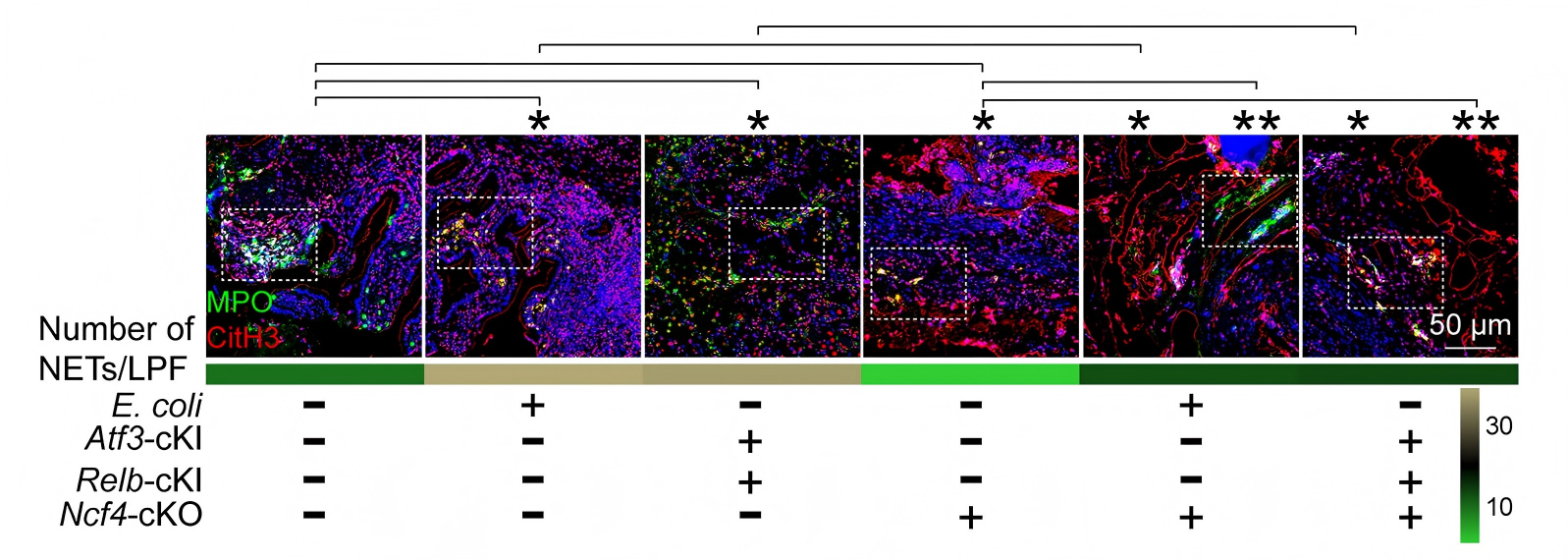 10b20e688c5e574188a3a0b815e6467e