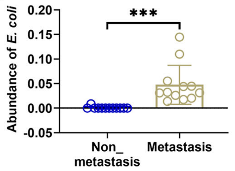 2eddd855f0a5865af574e3a1b1b87122