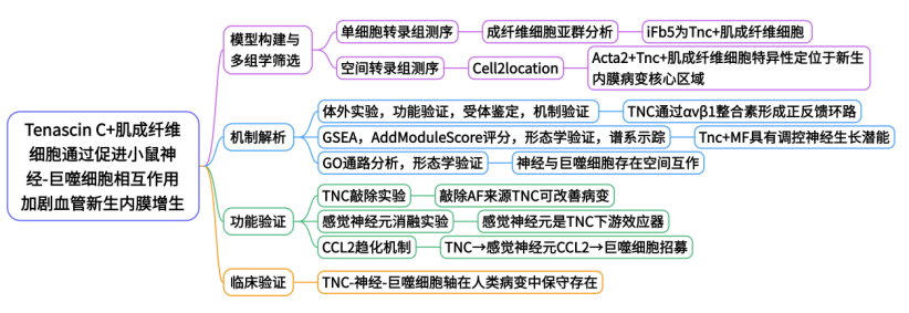 4df6a3e10920fee1433b9775ee917025