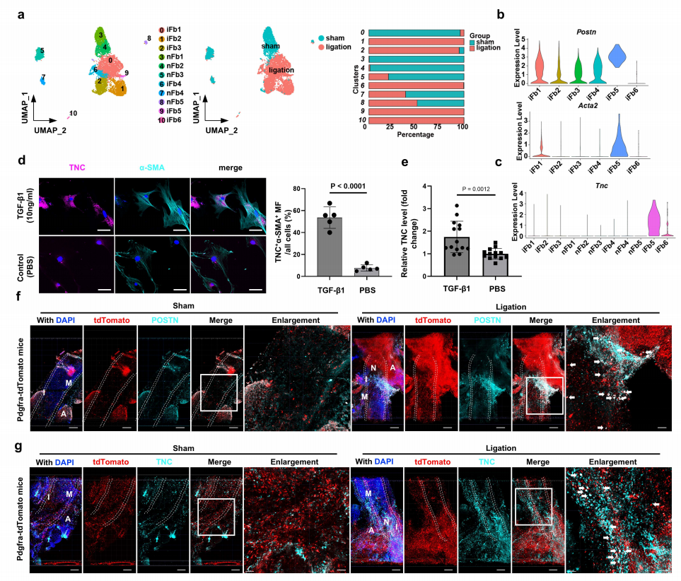 a0f847af38de2593c18e4b49a243d43e