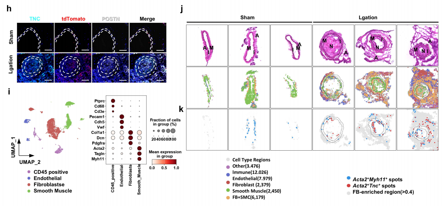 b26a6ef49ce7c70d04b51b71a5f7c4a4