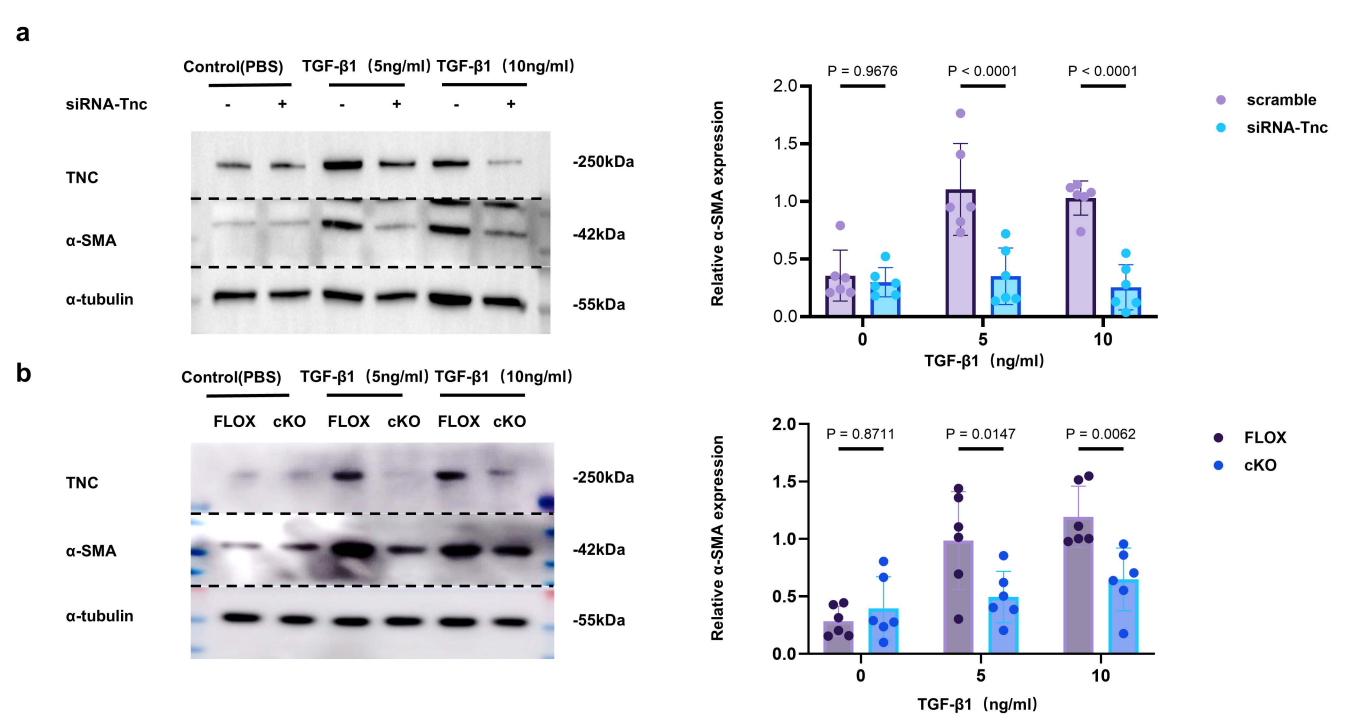 b9ff7d2ad322ac7c6d7cb28f1b9a0bac