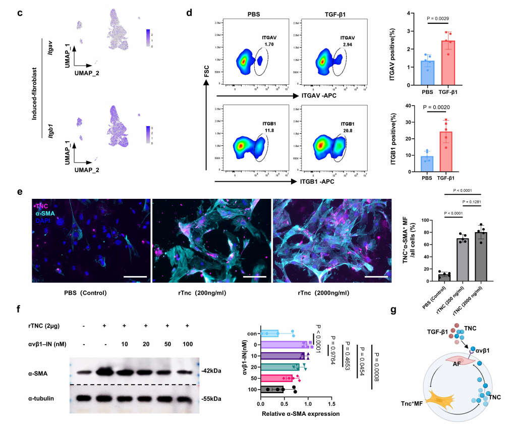 243ee2b25e2868f0e938a089df4f38bf
