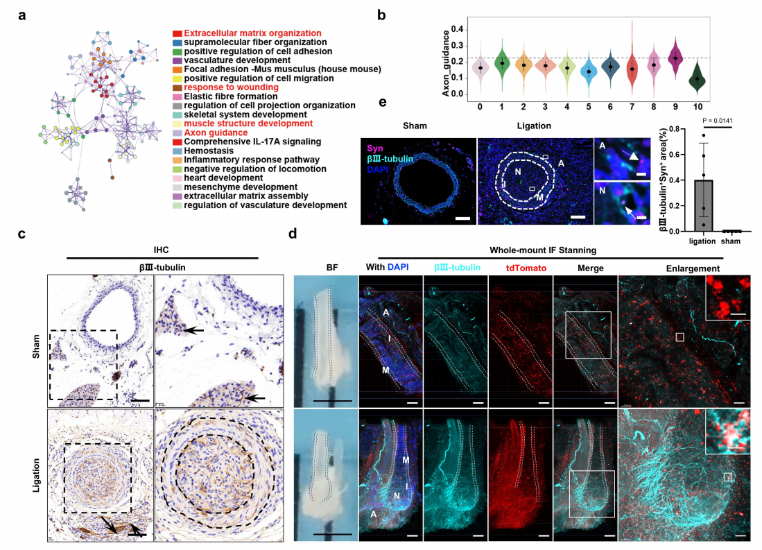 96a666eff9fa09b5c42f32400d4aa767