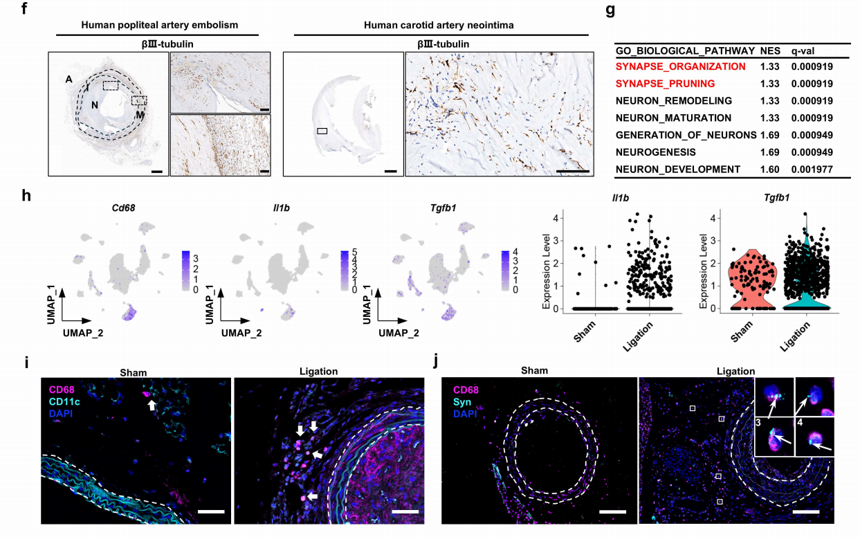 362a93e16b4601211eea03d547d0bd6f