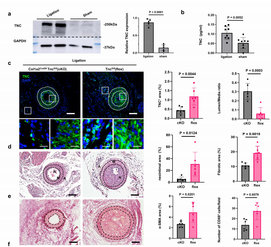 02dac1a81f25d3c1c5164dbfa6eda858