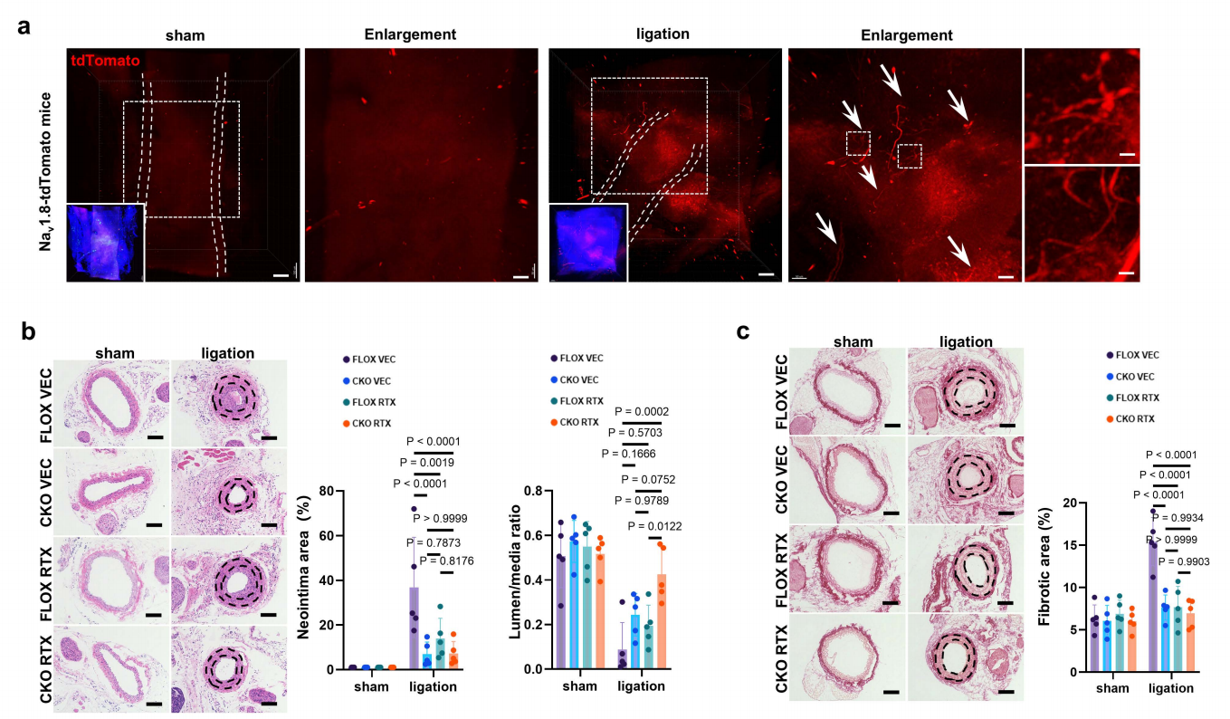 af565c9c42ef10661e624811f1553b4e