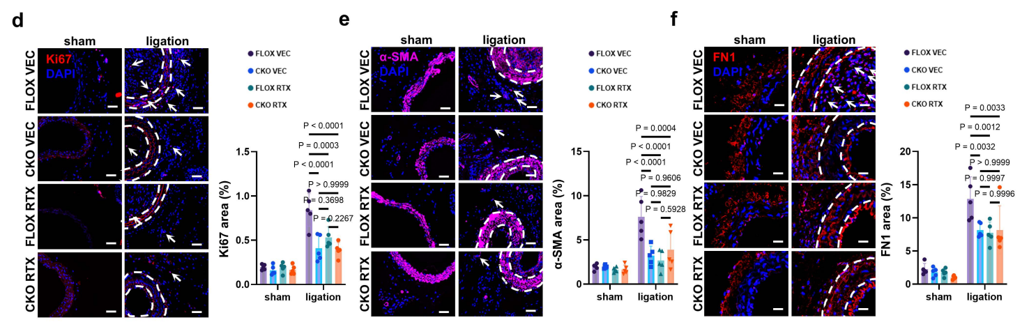 9311f4c938173d7608567304c5673fdc