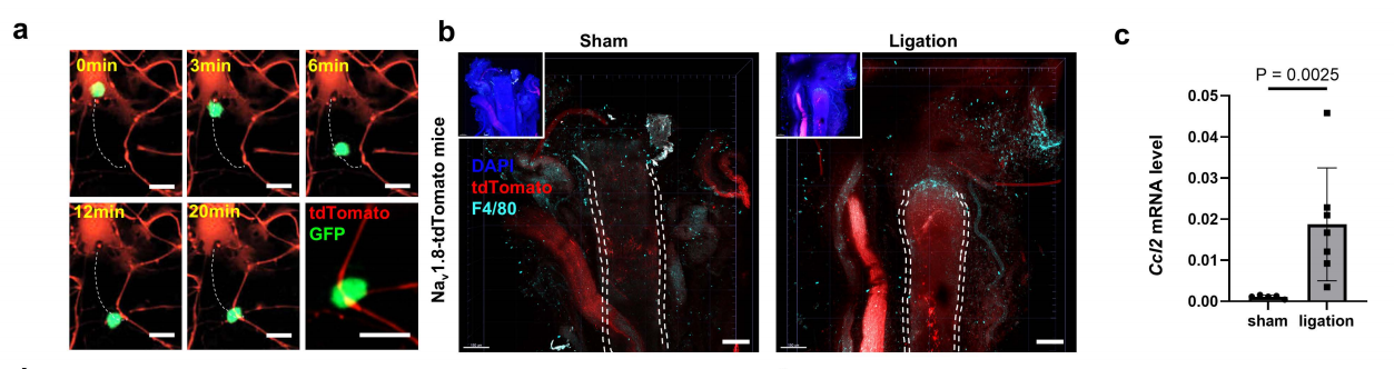 000eb0659a5274c9563d8a306507bb36