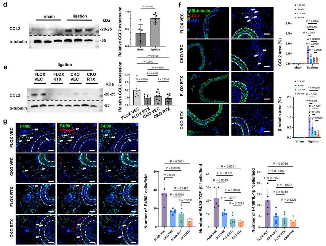 311f02e60d7bcd84916d59c172965a4f