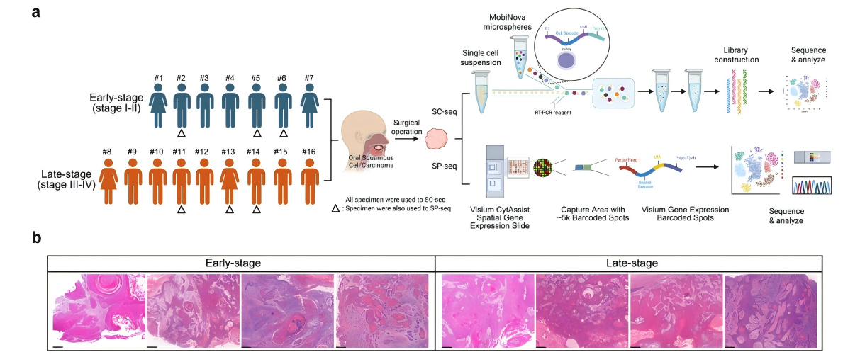 ea090cb2d76a4917fae080ea683661c7
