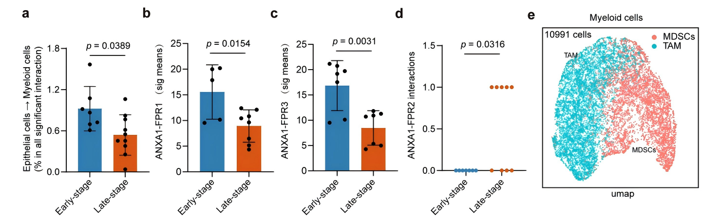 371a5d63f7e3958d26e877d6e1f7d9e5