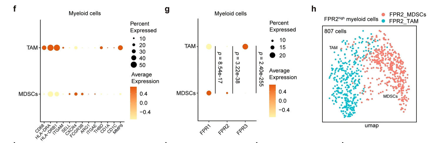 d62e0885d6c3a0a8d6098601c808ee95