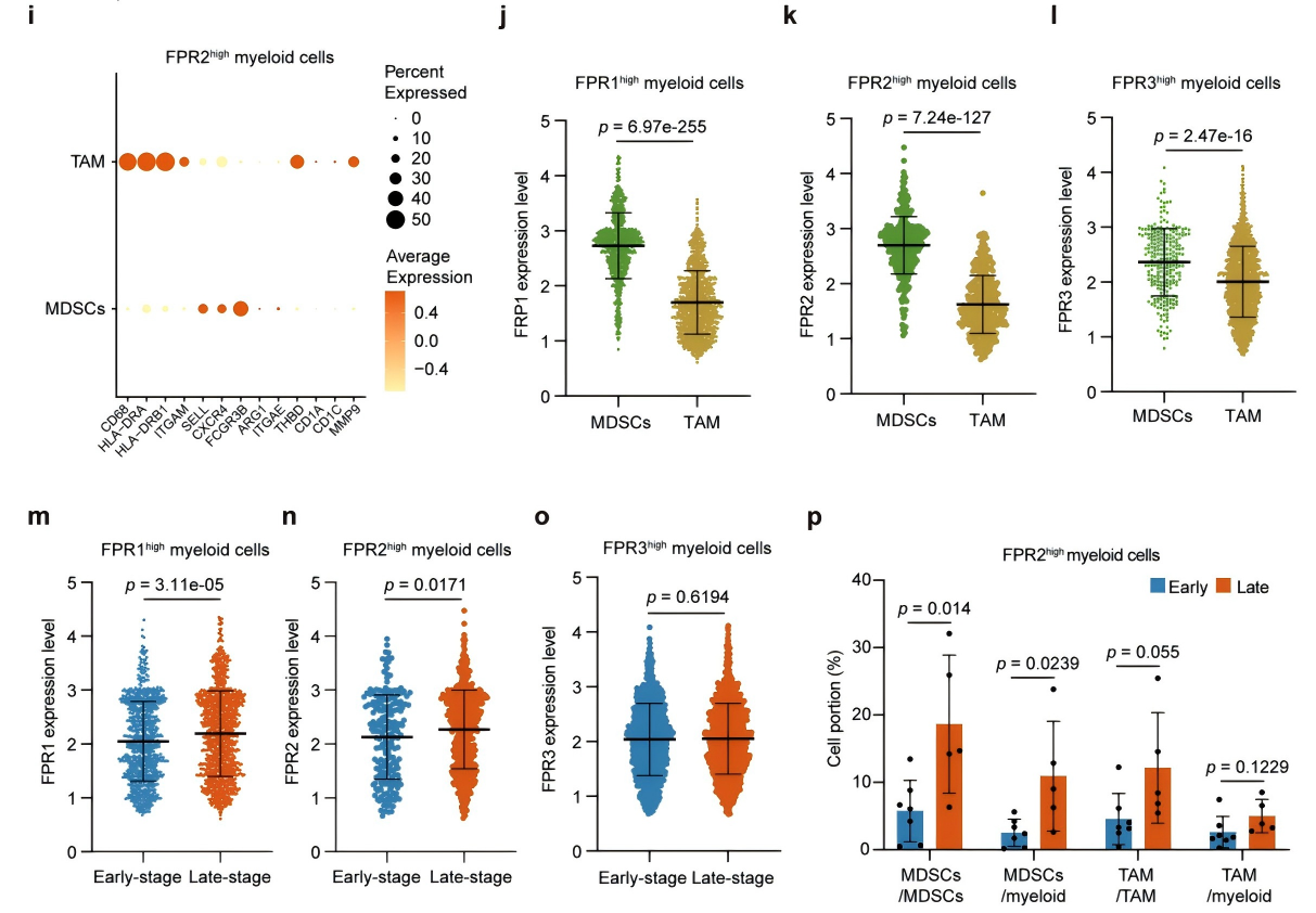 5de70043f28ecbcbe2df9b3108e34924